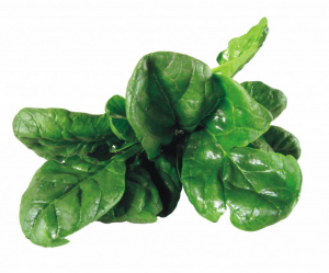 spinaci